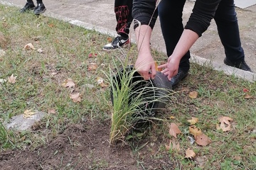 Экологическая студенческая акция   «Посади цветок-укрась планету»